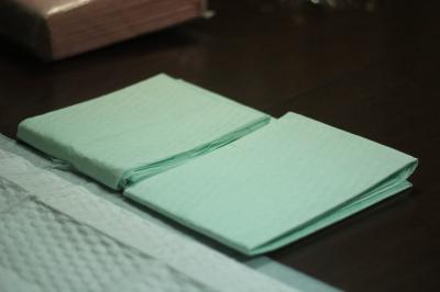 45x30 Disposable Absorbent Pads For Adult , Disposable Bed Wetting Pads Non Woven