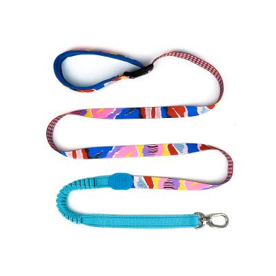 Outdoor Hiking Retractable Anti Pull Dog Leash Lead 1 Inch Halti Handmade