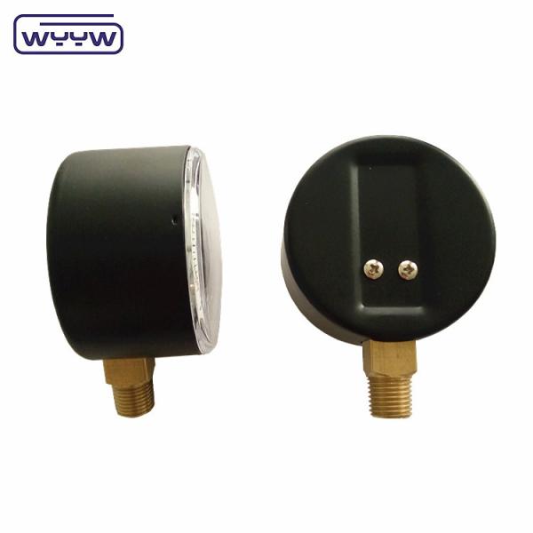 Bellows Type Capsule Pressure Gauge 63mm InH2O Manometer 100 Mbar