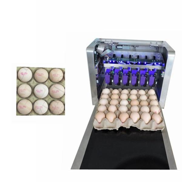 Usb Flash Automatic Egg Stamping Machine Label Logo Print For Egg Owner