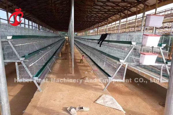 Цена клетки батареи слоев в Нигерии 12 птицы цыпленка 128 недель играет главные роли