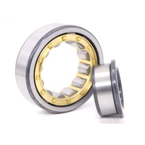 NJ1004 Fabricant de roulements à rouleaux cylindriques pour moteurs électriques / petites machines