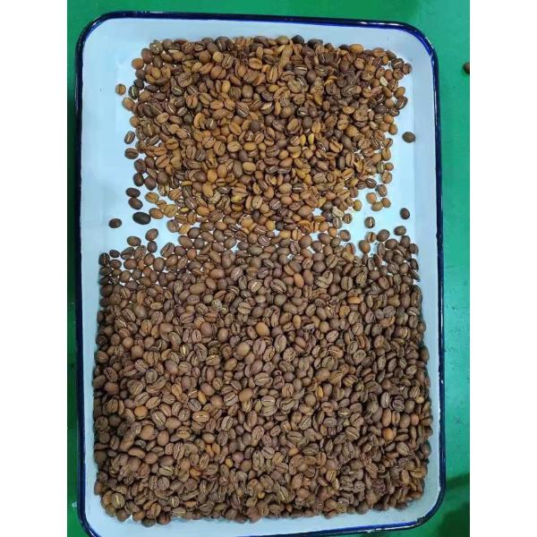 зажаренный в духовке 50Hz обломок сортируя машины кофейного зерна 240V высокоскоростной обрабатывая