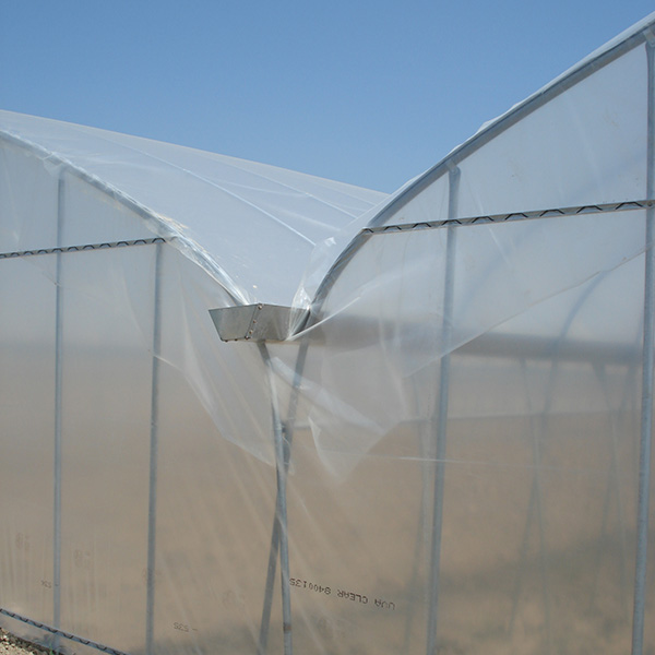 Transparent PE Agricultural Film & Greenhouse Cover Small Single-Span Film Roll with Anti-Aging for Agriculture