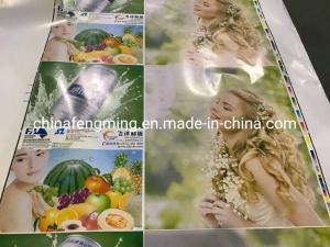 Automatic Grade Automatic Flexo Plastic BOPP Printing Varnishing Machine for