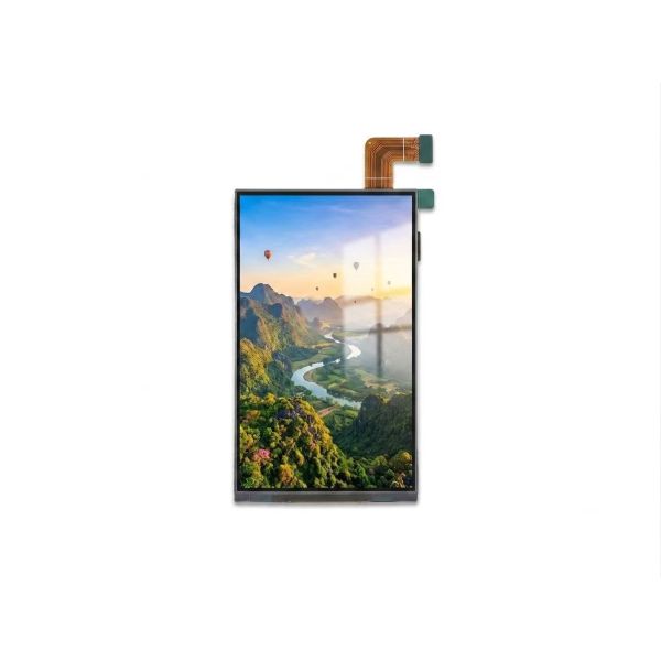 5.99 Inch IPS TFT LCD Touch Display Module 720x1440 MIPI For Access Control Systems