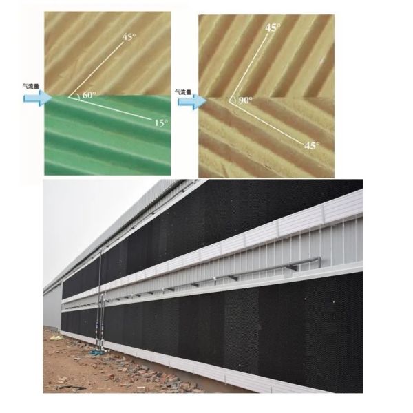 High Quality Full Automatic Poultry House Machinery with Corrosion Resistant Hot Dip Galvanised Steel and Automatic Feeding System