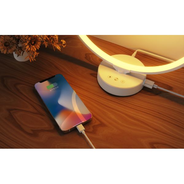 Dimmable UV Free Happy Lamp 6000K Day Light Therapy Lamp 24W With Timer