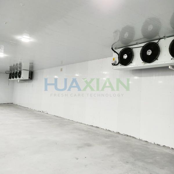 China Poultry Factory Refrigerated Copeland Cold Storage Room for Sale