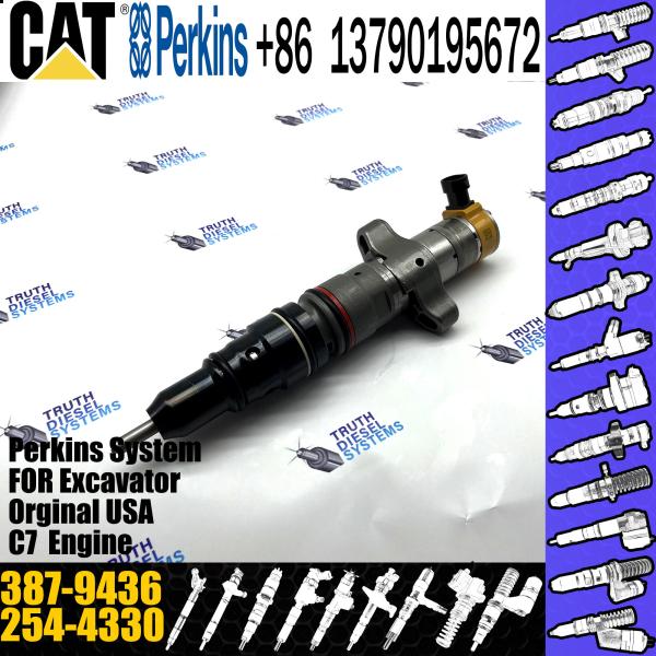 C9 Perkins Diesel Injector Engine CAT C7 3879436 387-9436 High Pressure