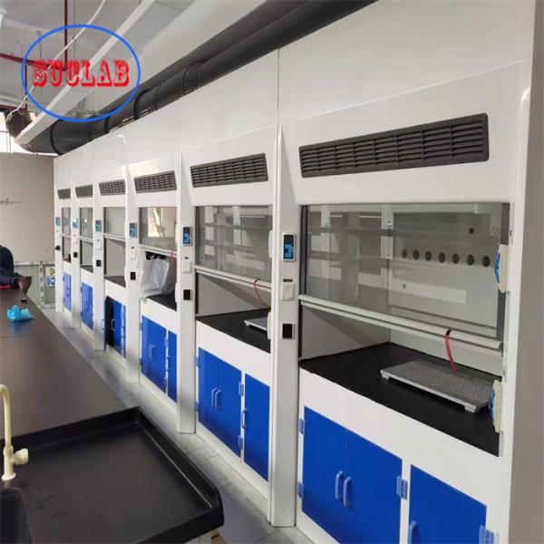 Chemical Resistant Class 100 Laboratory Fume Cupboard Wall Mounted Installation