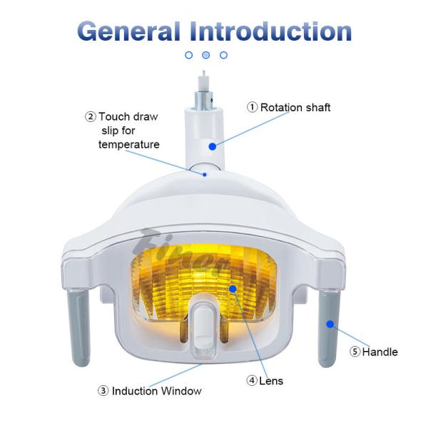 dispositivo dental AC/DC 12-24V da iluminação do diodo emissor de luz da luz da cadeira 12W 1 parte