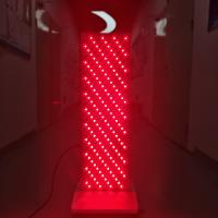 Dispositif de thérapie de la lumière du visage à LED pour salon de beauté
