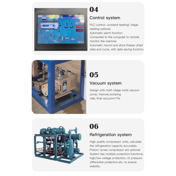 Коммерческий вакуумный морозильный сушильщик для фруктов и овощей