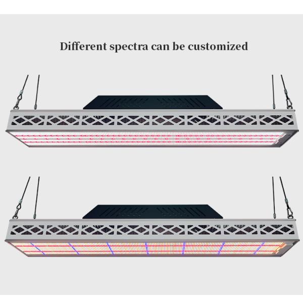 Lámparas de cultivo LED superiores de 640W de espectro completo para el crecimiento de plantas, para semilleros y floración en invernaderos
