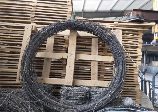 Barbed Tape Concertina Gaucho Barbed Wire Prison High Security Spiral Barbed Wire Fence