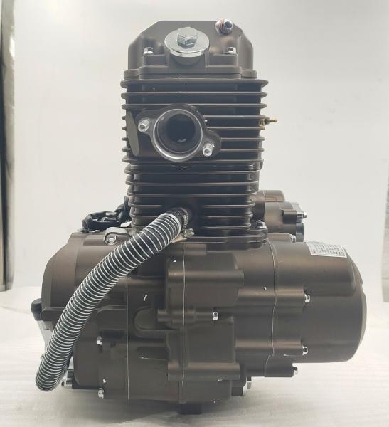 175cc DAYANG Motorcycle Engine Assembly with Max.Torque 12/6500 and CDI Ignition Method