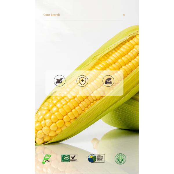500 600ML Disposable Compostable Cornstarch Meal Lunch Box Fast Food Packaging Box