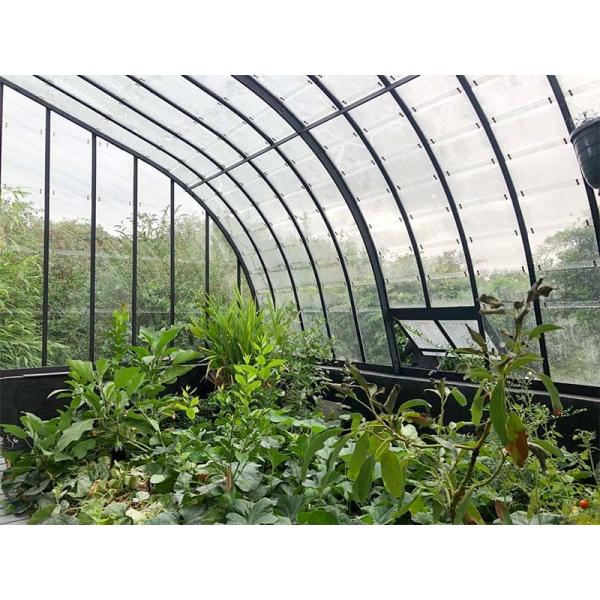 Tempered 4mm Greenhouse Roof  Glass for Vagetables and Plants