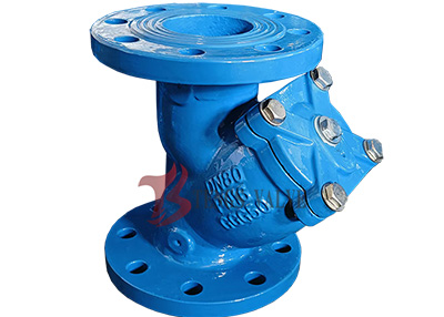 Ductile Iron GGG50 Flanged Y Type Strainer Flanged Pn16, Dn80, SS304 Screen DI Body For Waste Water