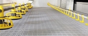 Closed House Chicken 20T Poultry Farm Equipment