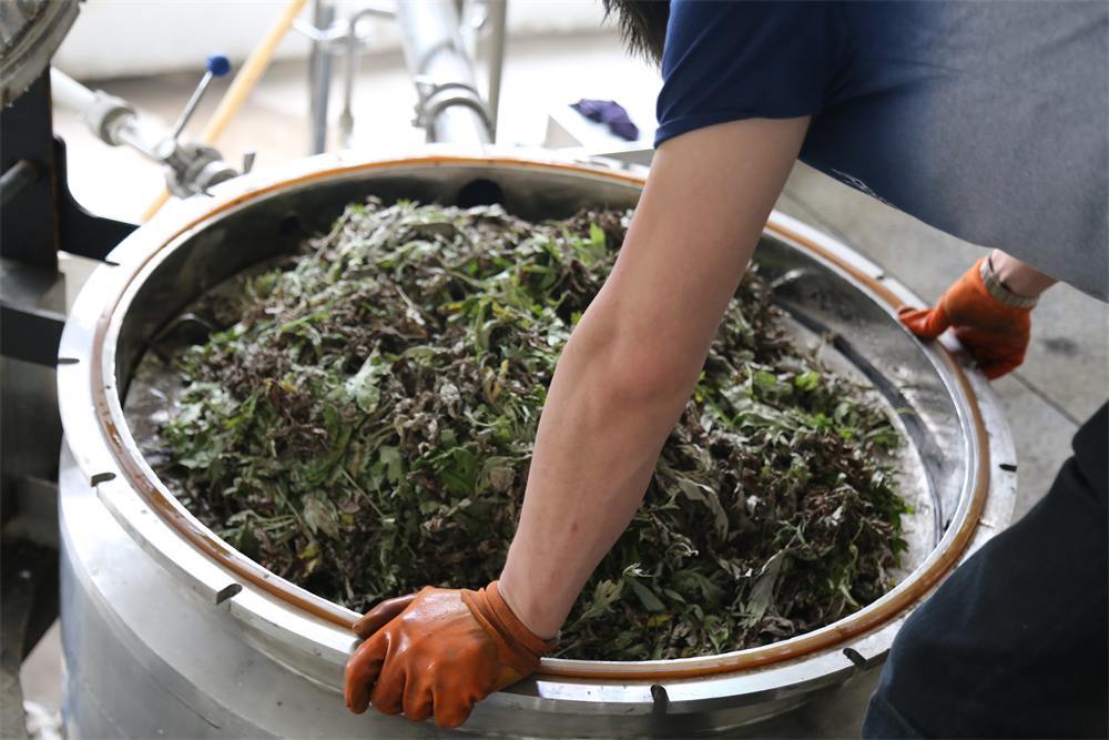 Hubei Yishiyuan Chinese Mugwort Biotechnology Company Limited