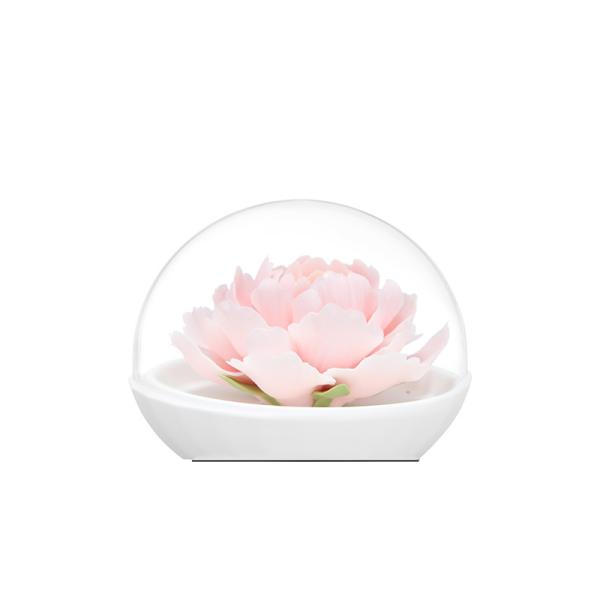 Fragrance Essential Oil Hand Made Ceramic Candle Holder Decoration With Customized Functionality