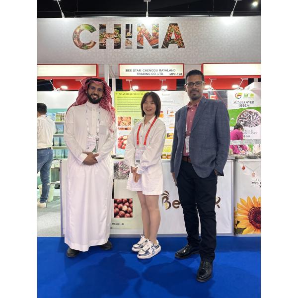 Folie de fondation en plastique vert en cire d'abeille en vrac pour apiculteurs