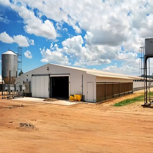Durable Q235 Steel Structure Chicken House With Eco-Friendly Weather-Resistant Design