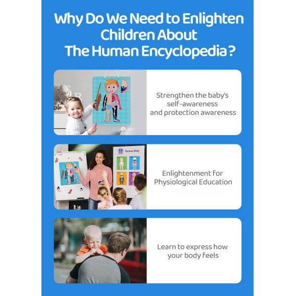 Модель человеческого тела реалистический человеческий дисплей анатомии забавляется 48 частей ранг 3+ возрасты 8+