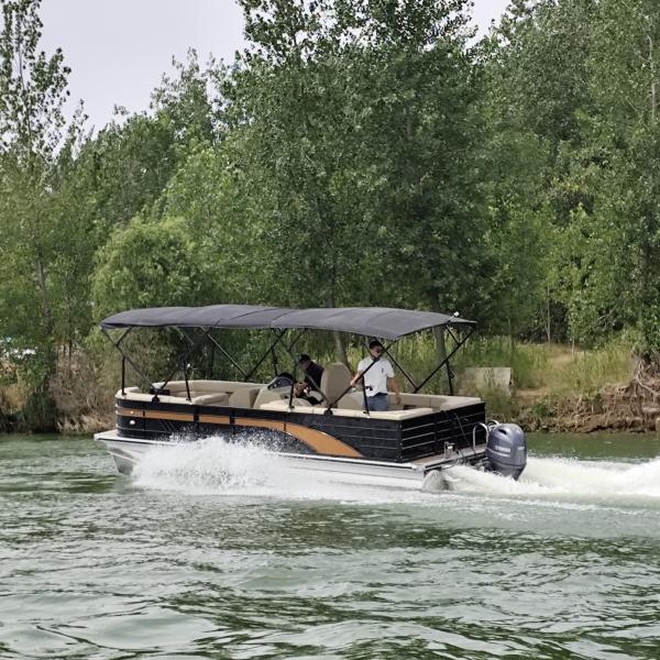 25ft Classic Elegance Pontoon Boat 10 people In Black Bronze & Gold Accents