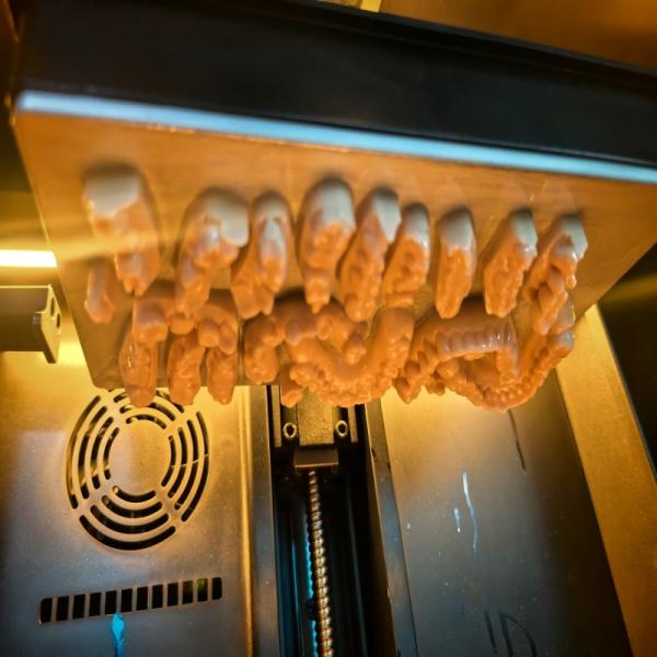 J​​aw Model Dental Composite Resin For 3d Printing​ Bite Pads Safety​