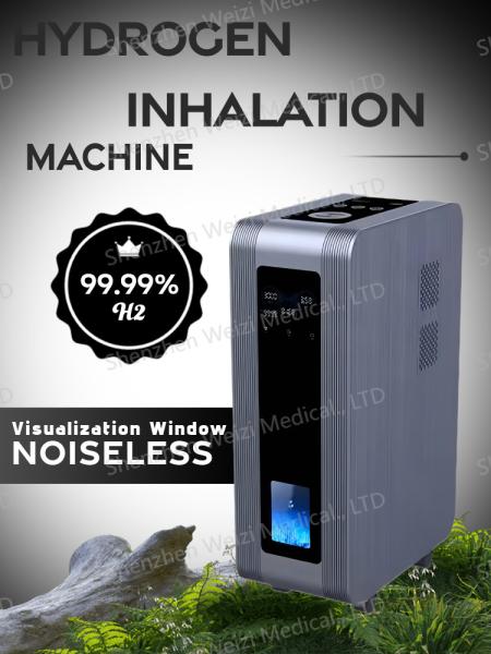 2250 ml machine à inhalation d' hydrogène anti-apoptotique avec protection de sécurité