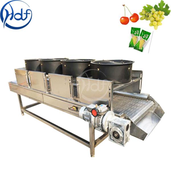 Continuous Vegetable Fruit Dryer Machine , Food Dehydrator Machine Conveyor Belt Width 600mm