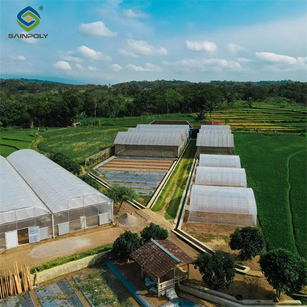 Customized Commercial Greenhouse Vegetable Production For Pepper And Cucumber