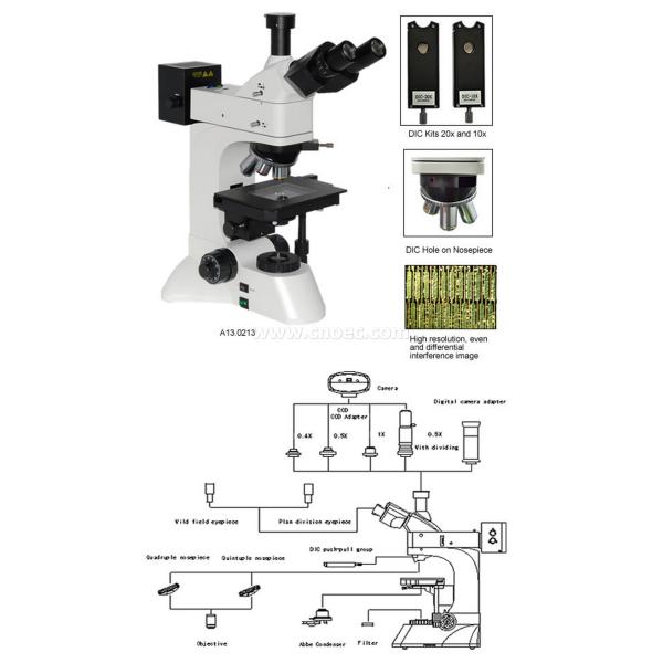 Microscópio óptico metalúrgico A13.0213 de Trinocular DIC da indústria do plano LWD da infinidade