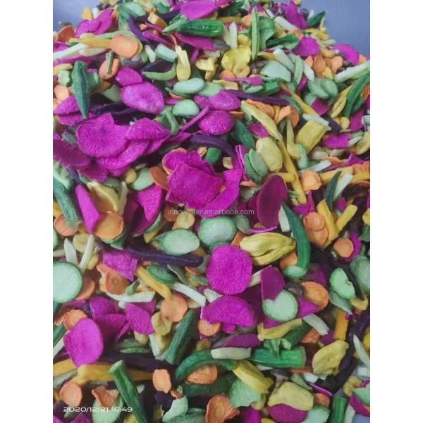 Vacuum Fryer Machine for Healthy Low Oil Frying of Vegetables and Fruits in Design