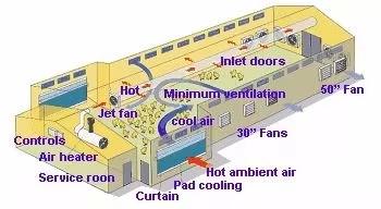 Insulation Panel Prefab Steel Structure Metal Breeding Poultry Chicken House