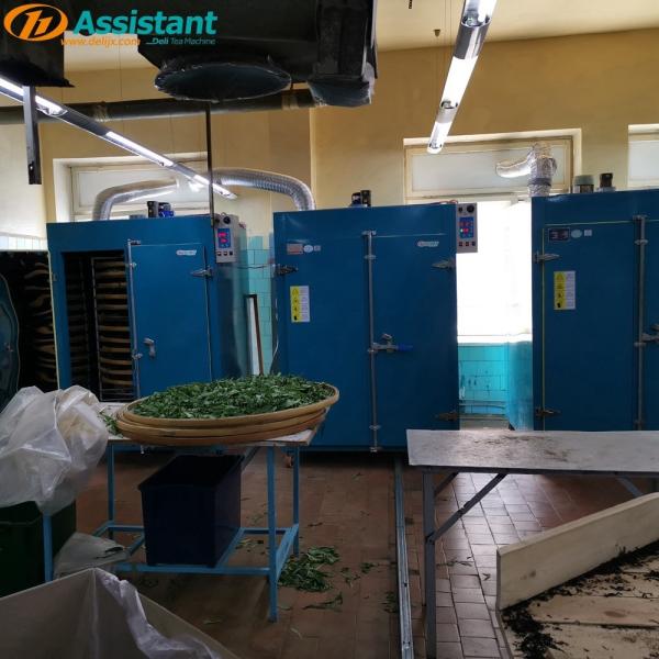 Tea Leaf Drying Machine DL-CHZ-14B Electric Heating Dryer for Green Tea Dehydration