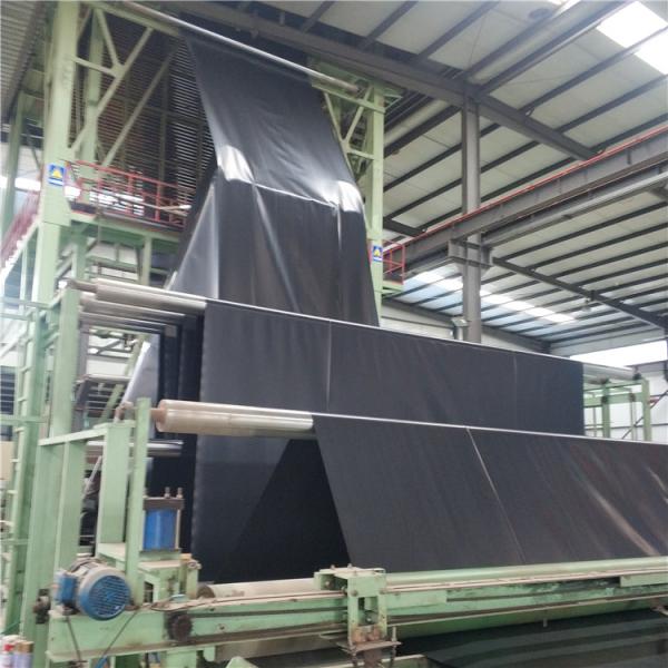 HDPE Black Fish Farm Pond Fish Liner Plastic Geomembrane High Surface Hardness