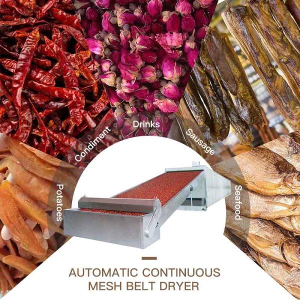 Eco Multi Layer Continuous Belt Dryer Automation OEM