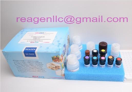 Biopharmaceutical Kanamycin ELISA Kit Plasmid Detection 95% High Accuracy