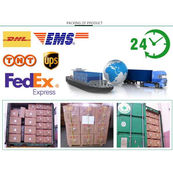 Water Resistance MS Sealant Adhesive For Underwater Bonding And Sealing Applications