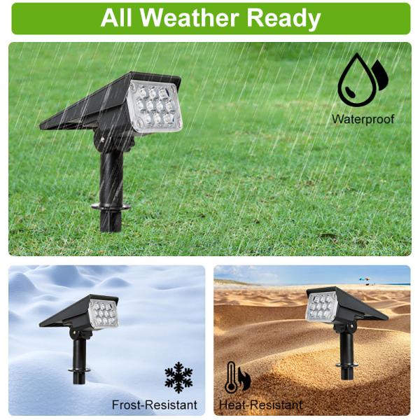 12LED Waterproof Security Wall Solar Motion Sensor Lights Solar Powered Motion Detector Lights LED Garden IP65 ROHS Ce 3-YEAR 80