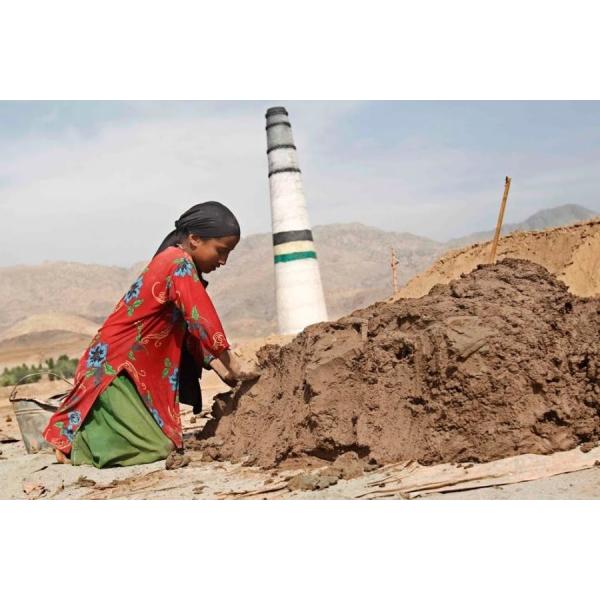 Гореть печи Hoffman печи сушильщика и Hoffman 52 ворот кирпичей