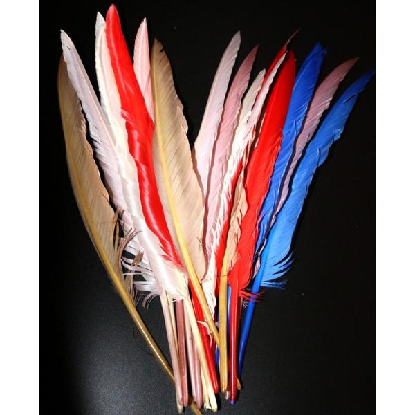 Valentine's Day Millinery Supplies Turkey Feather Quill for Worldwide Shipping