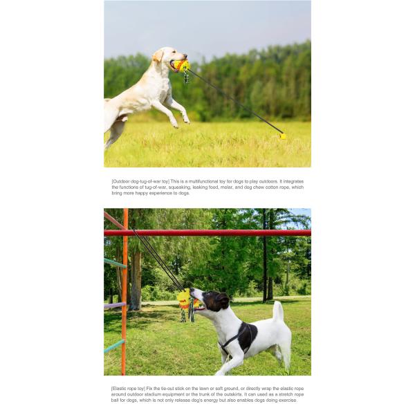 Elastic Plastic Cute Pet Toys Outdoor Water Dog Chewing Ball