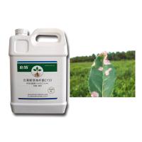 Agente microbiano CY30 Bacillus Velezensis Bactericida Cure Tomate Leaf Mold Blight Fertilizante