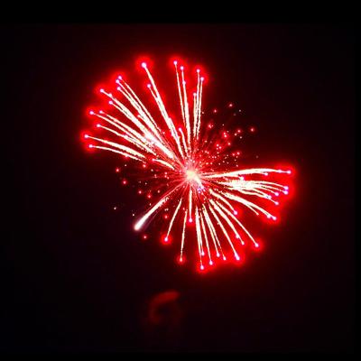 Liuyang Mandarin 1.3g Un0335 Fireworks 4'' Inch Display Shells Firework Professional Pyrotechnics Shell Balls For Sale