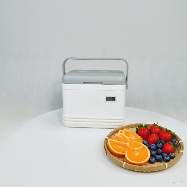 保冷剤付きポータブルクーラーボックス 220x160x160mm -25℃～25℃